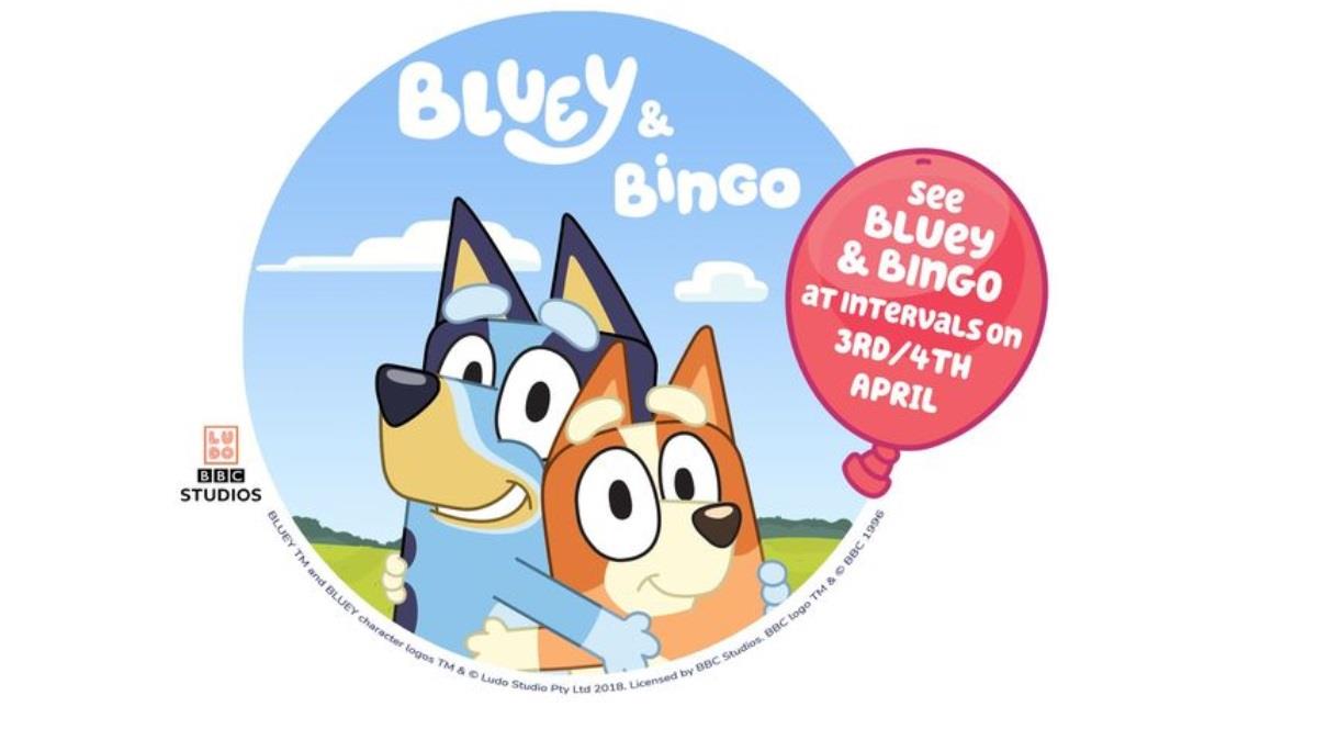 image of Bluey & Bingo