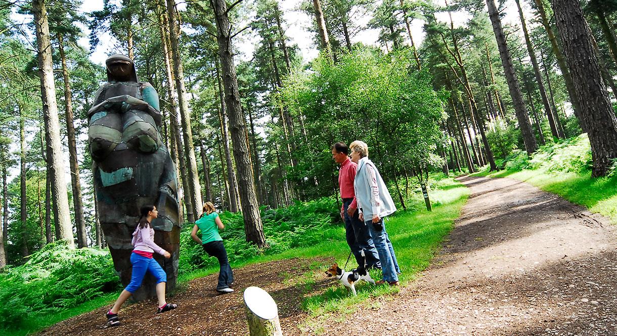 Sculpture trail at Birches Valley, Cannock Chase, Staffordshire