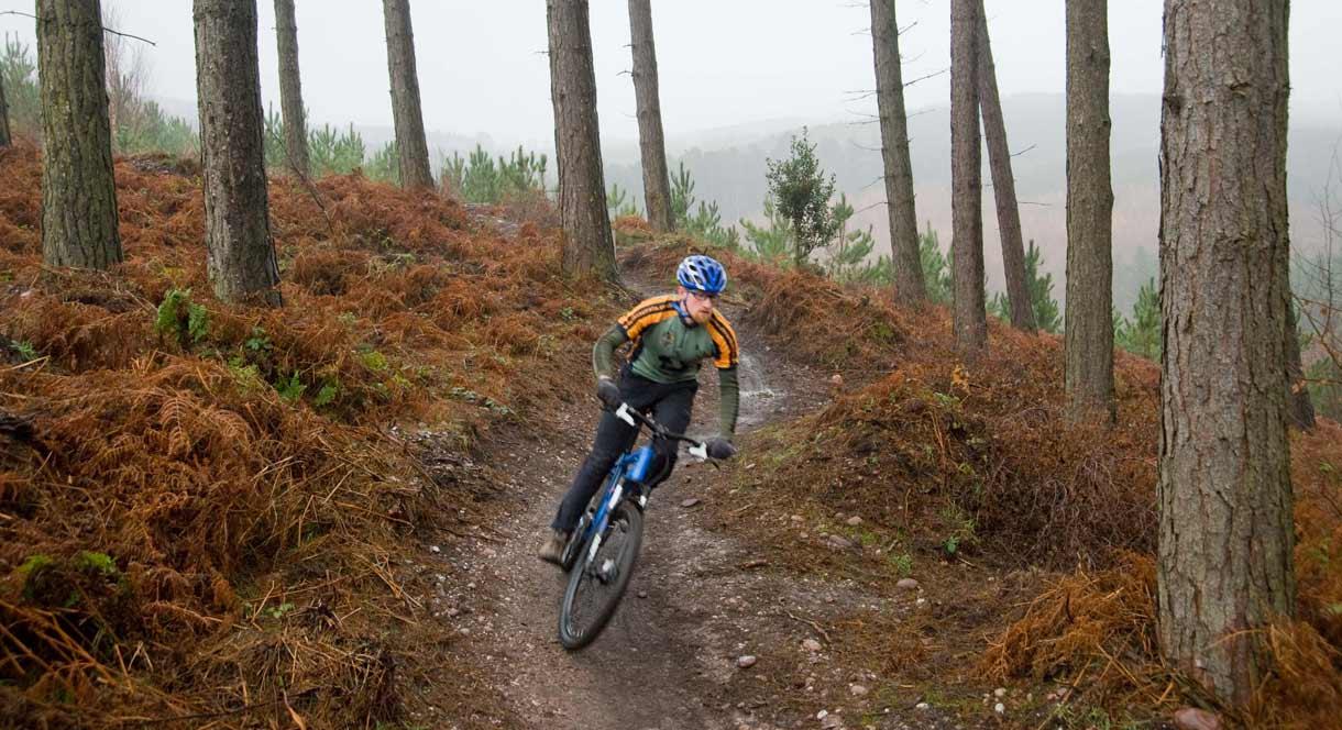 Cannock Chase Forest, Staffordshire offers world-class mountain biking trails and is the venue for 2022 Birmingham Commonwealth Games Mountain Bike ev