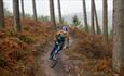 Cannock Chase Forest, Staffordshire offers world-class mountain biking trails and is the venue for 2022 Birmingham Commonwealth Games Mountain Bike ev