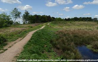 Castle Ring at Cannock Chase, Staffordshire. Copyright Colin Park.