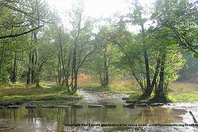 The Stepping Stones at Cannock Chase, Staffordshire. Copyright Phil Eptlett.