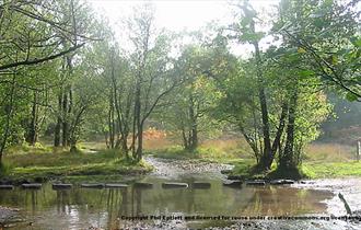 The Stepping Stones at Cannock Chase, Staffordshire. Copyright Phil Eptlett.