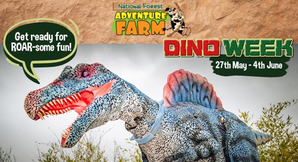 Image shows a picture of a dinosaur, saying 'Get ready for ROAR-some fun!' and the dates of Dino Week at the National Forest Adventure Farm, Staffords