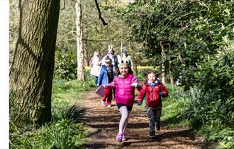 image of children walking through woodland, dressed in Easter costume