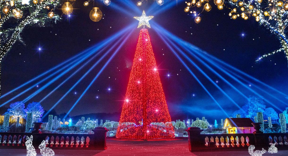 The illuminated Christmas tree is the stunning centrepiece of Christmas at Trentham, Staffordshire