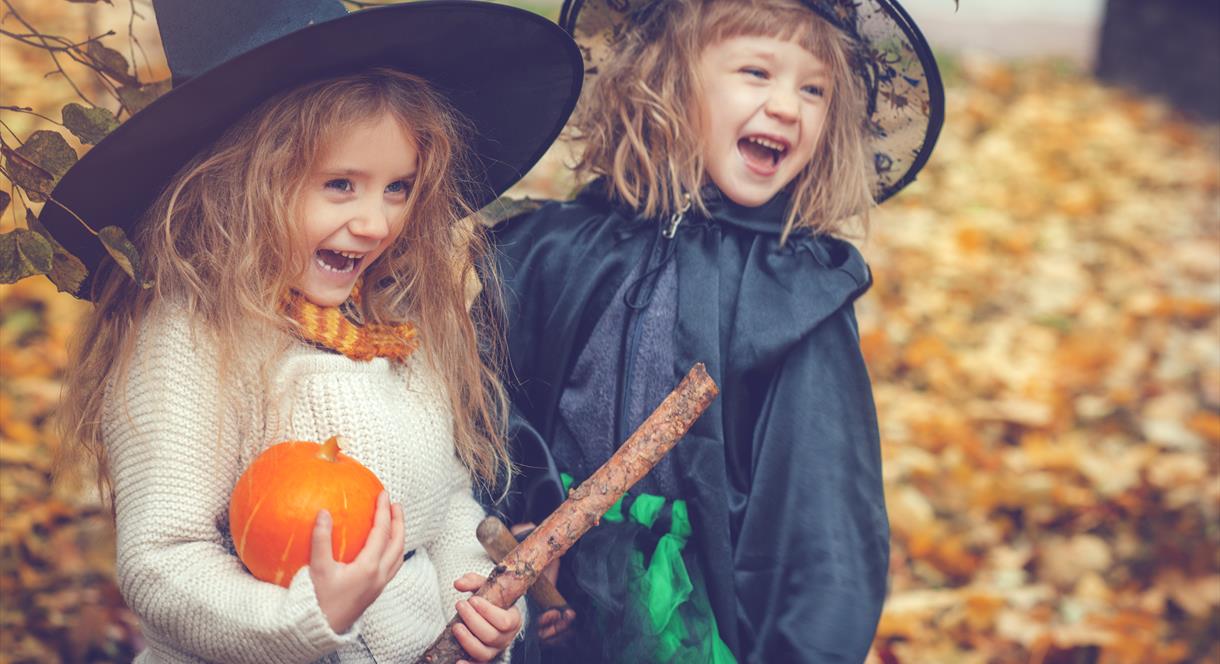 Two children in fancy dress with their pumpkin haul, at Tittesworth Water, Staffordshire