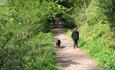 Dog Walking in Greenway Bank Country Park