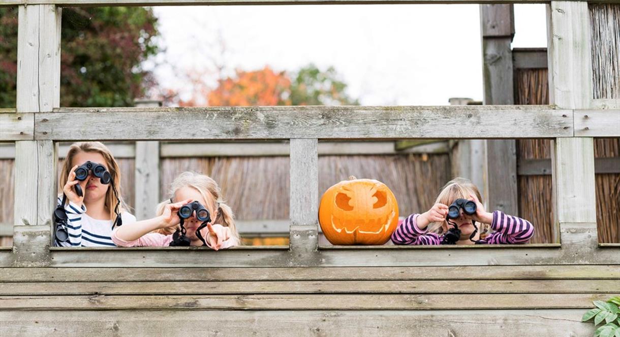 Big Wild Halloween at RSPB Middleton Lakes