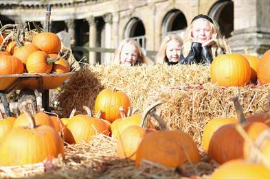 Image shows tons of pumpkins, some sitting on hay bales, others in a wheelbarrow, with some children admiring them