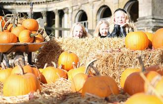 Image shows tons of pumpkins, some sitting on hay bales, others in a wheelbarrow, with some children admiring them