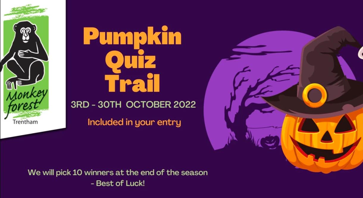 A graphic for the Pumpkin Quiz Trail at the Monkey Forest, Staffordshire this October