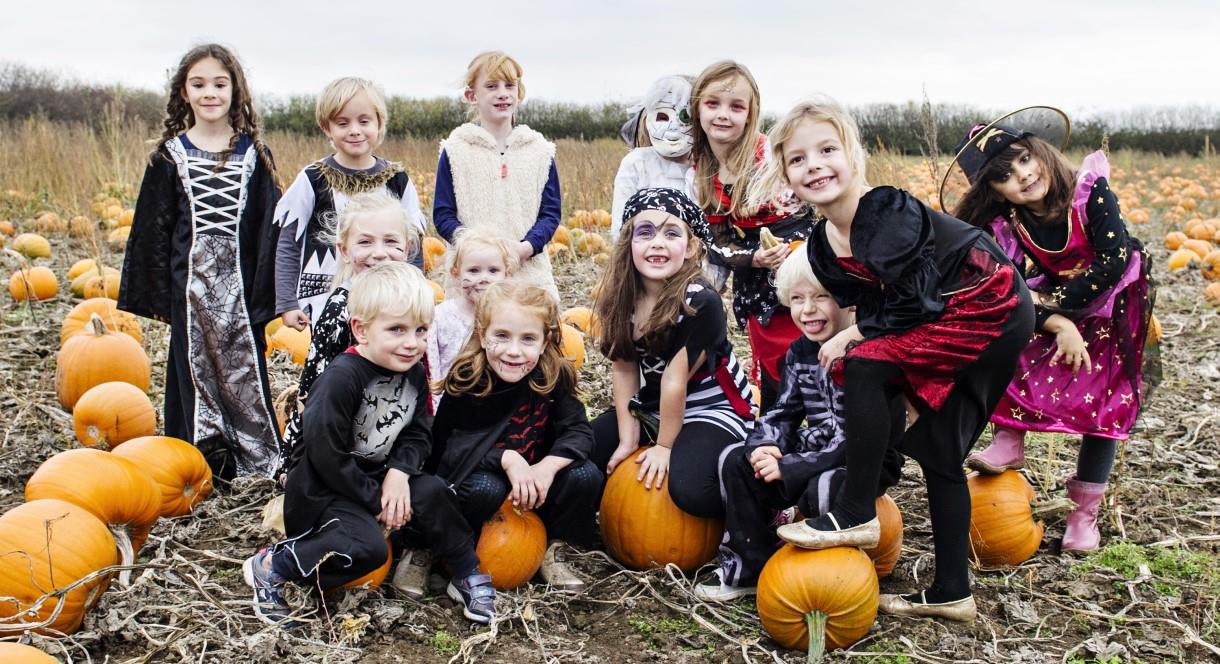 Children in frightful fancy dress among the pumpkins at the National Forest Adventure Farm, Staffordshire