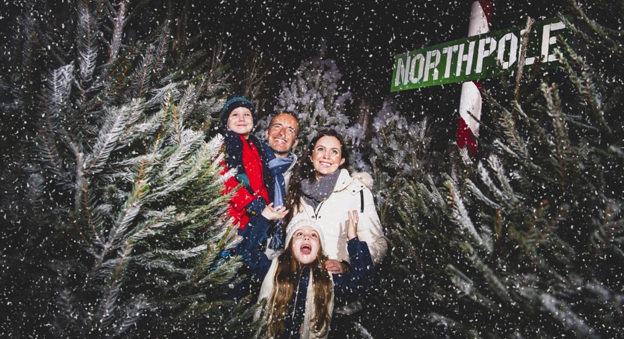 North Pole Adventure. A family Christmas event at National Forest Adventure Farm, Staffordshire.