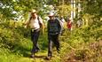 A group walks through a wood on one of the special events of the National Forest Walking Festival