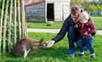 First contact with Wallabies