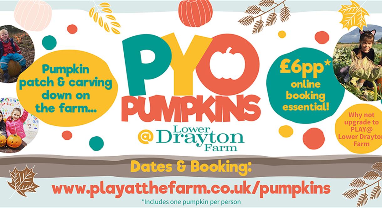 PYO Pumpkins at Lower Drayton Farm