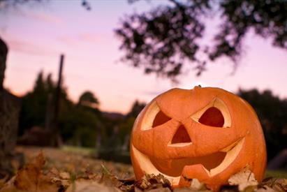 Menacing Monsters Halloween Trail