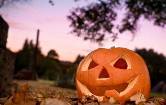 Menacing Monsters Halloween Trail