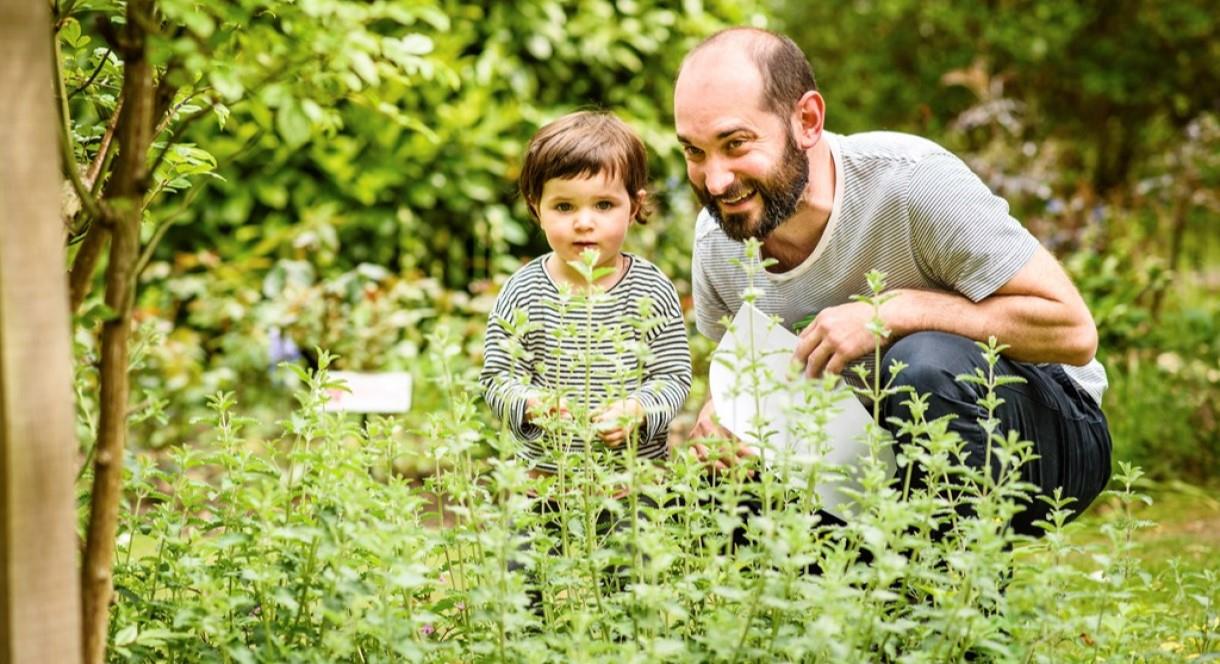 A father and daughter look for creepy crawlies in the bushes at Middleton Lakes, Staffordshire