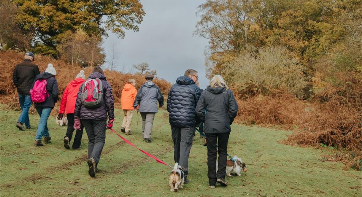 A group of walkers with their dogs at Ilam Park, Staffordshire