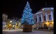 The Christmas tree takes pride of place in Stafford Market Square