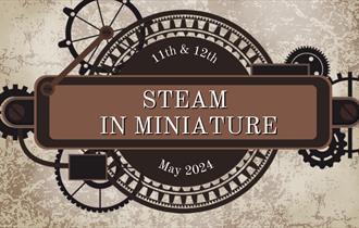 Steam in Miniature
