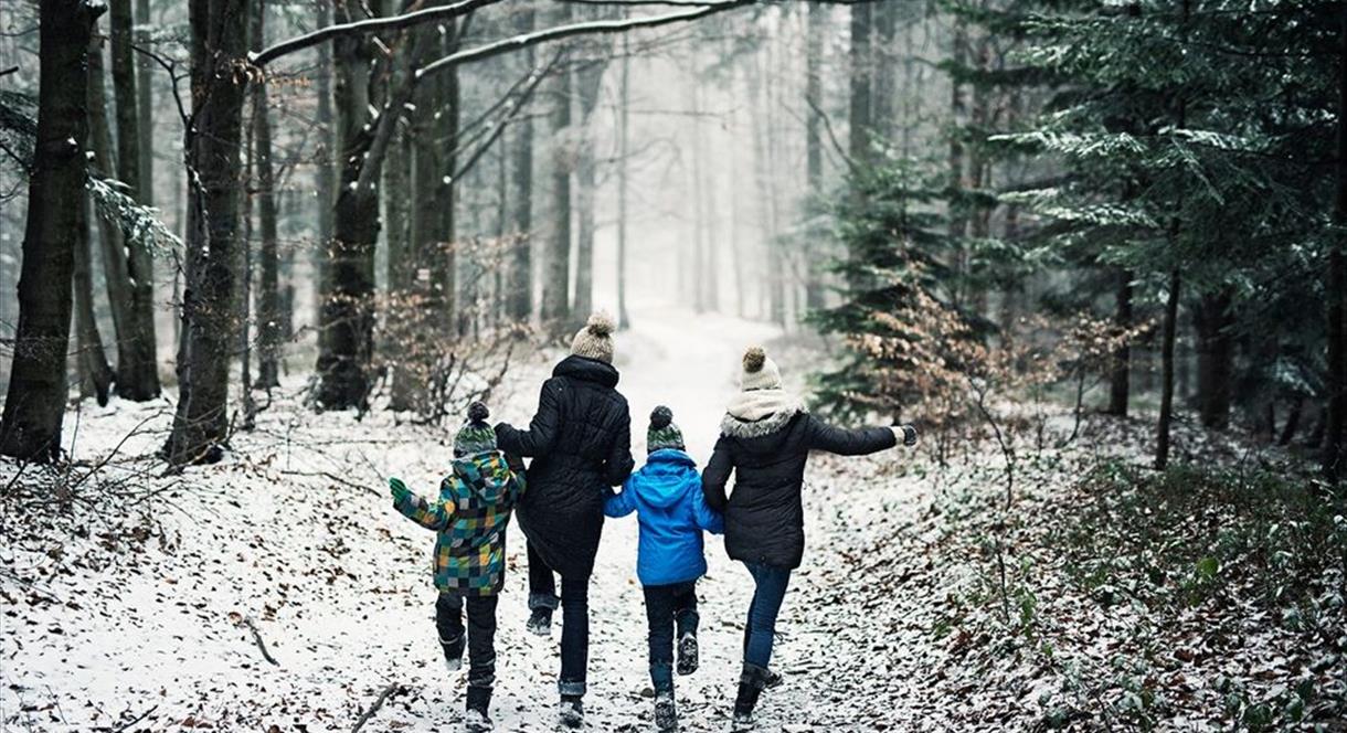 A family enjoys a wintry walk through the woods at Tittesworth Water, Staffordshire