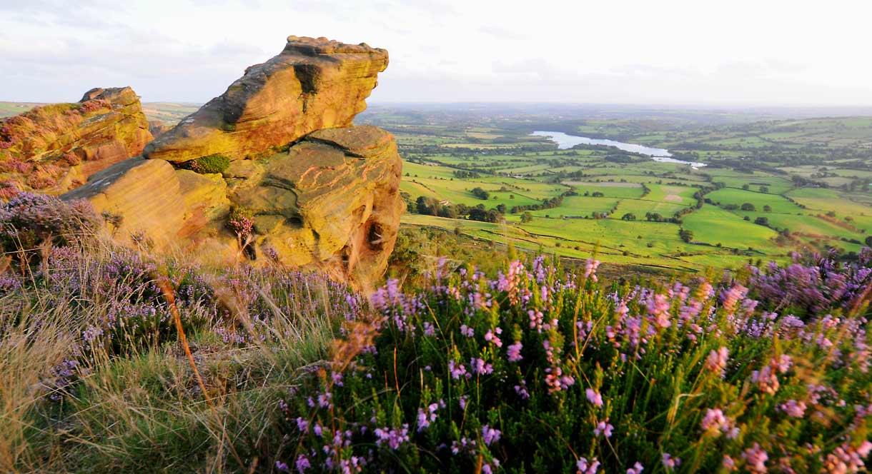 The view from the Roaches, photo by Cathy Bower