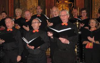 image of The Phoenix Singers choir