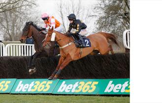 Horses jump the fences at Uttoxeter Racecourse, Staffordshire