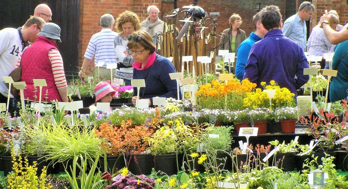 Staffordshire Day - Spring Plant Hunters' Fair at Weston Park