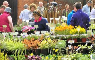 Staffordshire Day - Spring Plant Hunters' Fair at Weston Park