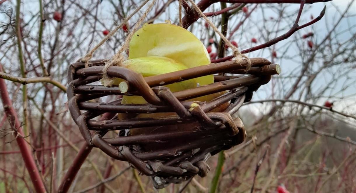 Bird Basket Making at RSPB Middleton Lakes