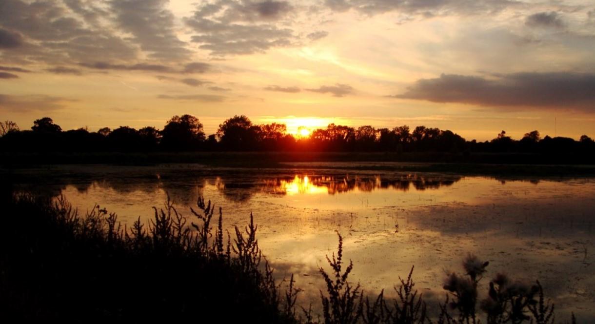 Image shows a sunset at Middleton Lakes, Staffordshire, with the sun dipping behind the trees and casting a pretty reflection on the lake