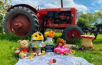 A tractor in a field, with two teddies enjoying a picnic