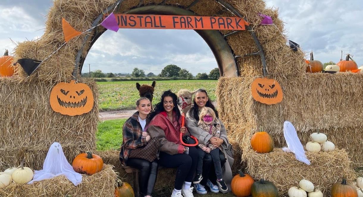 Image shows a family sitting on hay bales at Tunstall Farm Park, surrounded by pumpkins, ghosts and alpacas