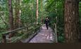 graphic shows man walking over bridge in woodland