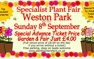 Autumn Plant Hunters' Fair at Weston Park