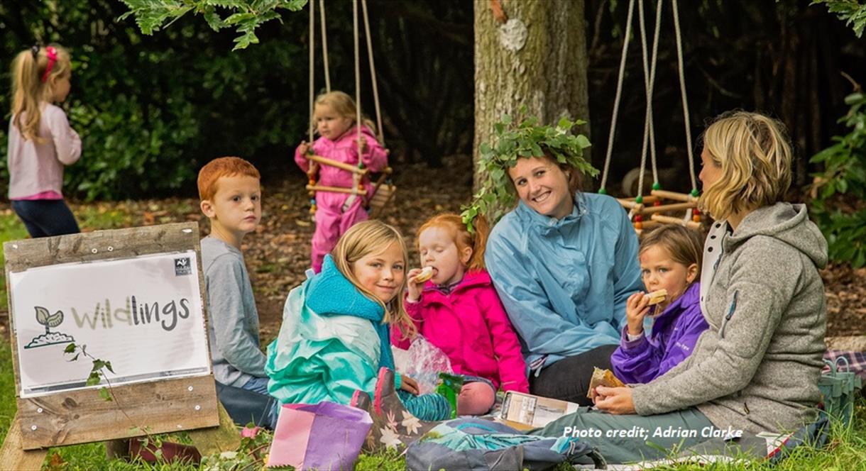 Wildlings at The Wolseley Centre