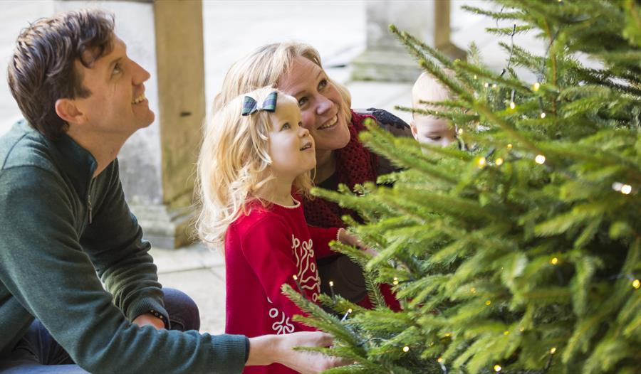 Christmas Tree Sales at Ilam Park
