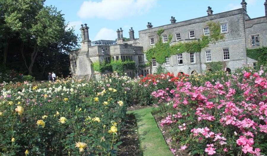 NGS Open Garden Day at Tissington Hall
