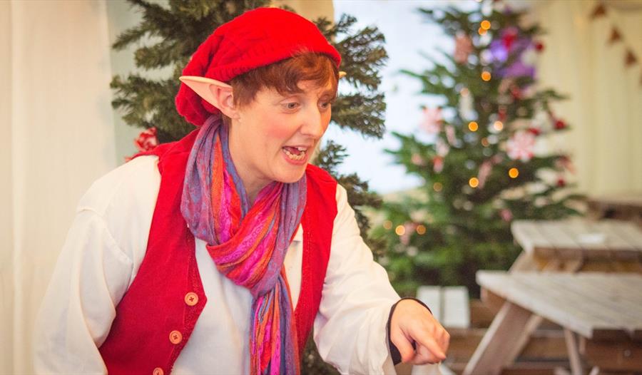 Santa's Woodland Adventure at Bluebells Dairy