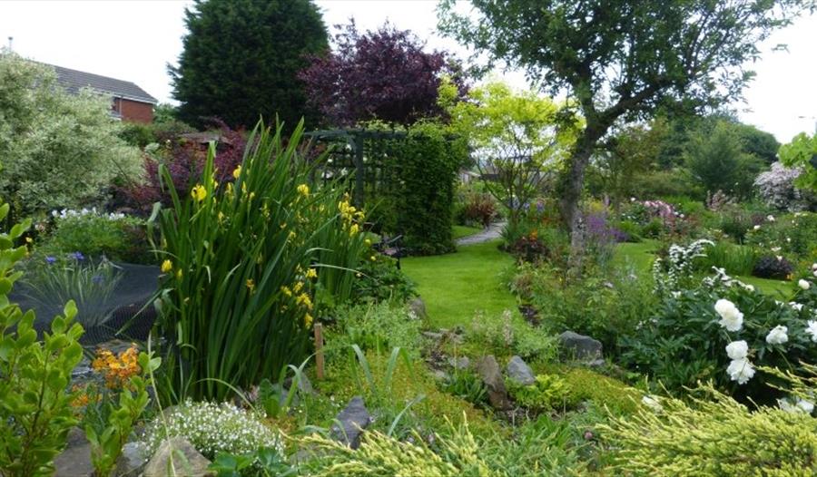 NGS Open Garden Day in Swadlincote
