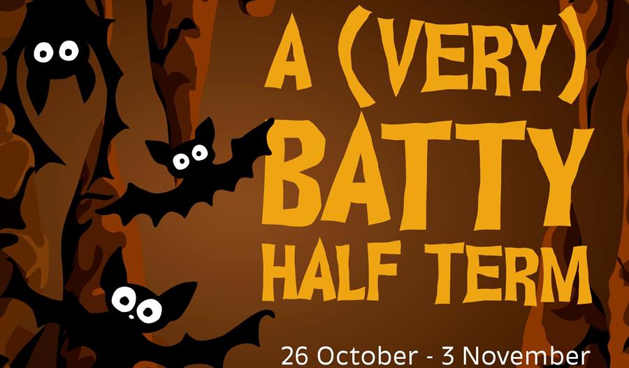 A (very) Batty Half Term