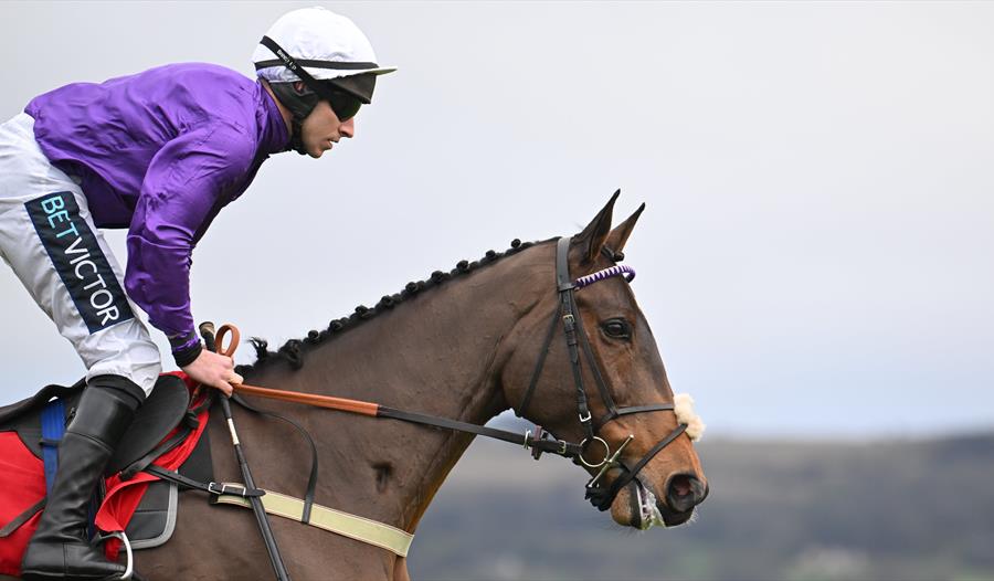 The Christmas Meeting at Cheltenham Racecourse