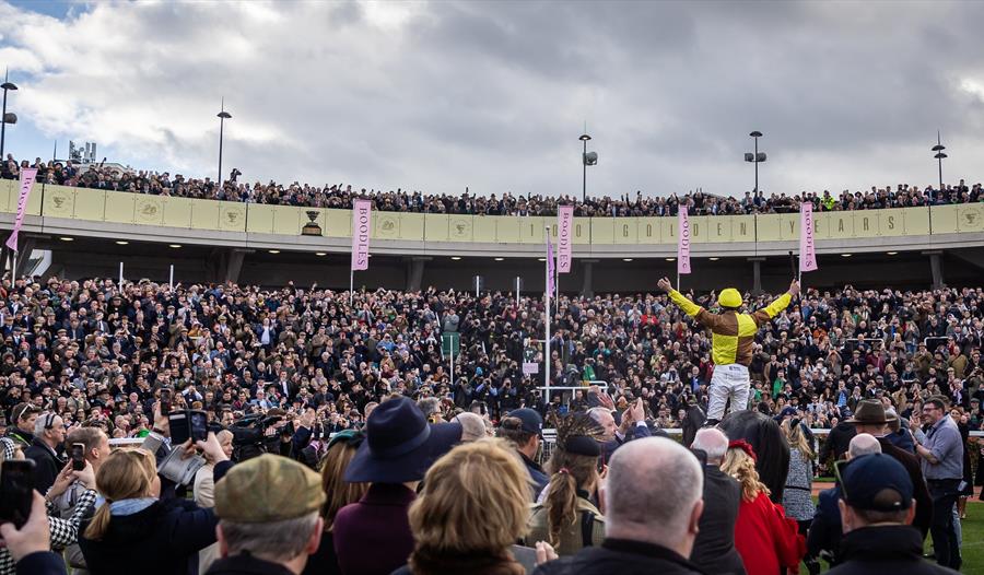 Cheltenham Festival crowds in the parade ring