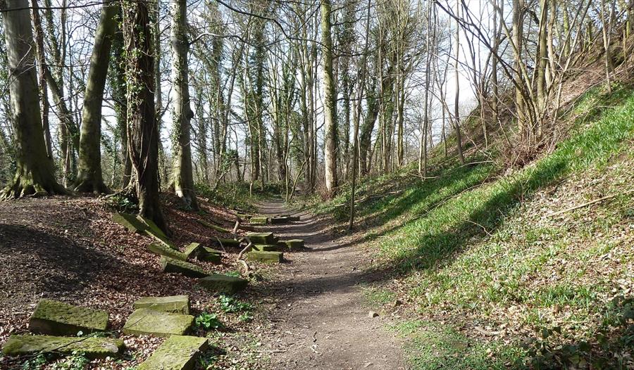 Brindley Loops