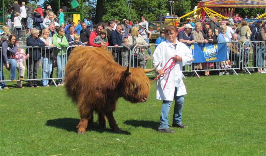 Highland Fling – Country Fair
