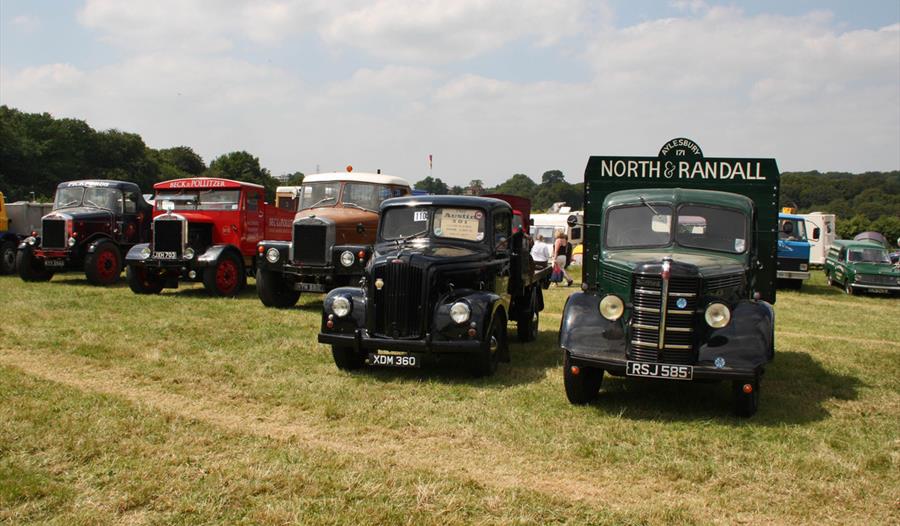Chiltern Steam Rally